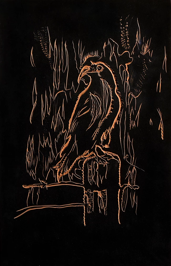 Όταν ο Κόραξ λευκανθεί