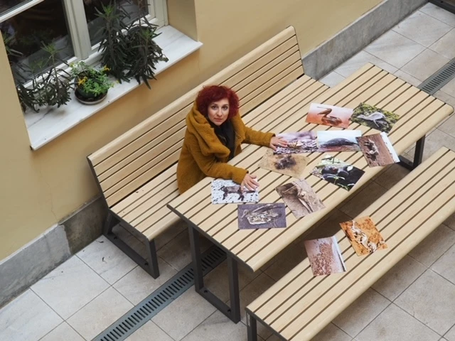 Κλιματική Αλλαγή; Έχει Πολλές Θερμίδες;