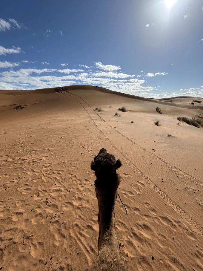 Μαρόκο Σαχάρα