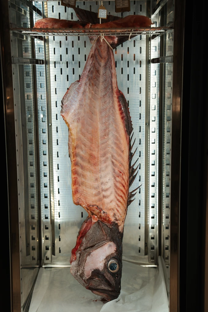 Κοπές ψαριών 2