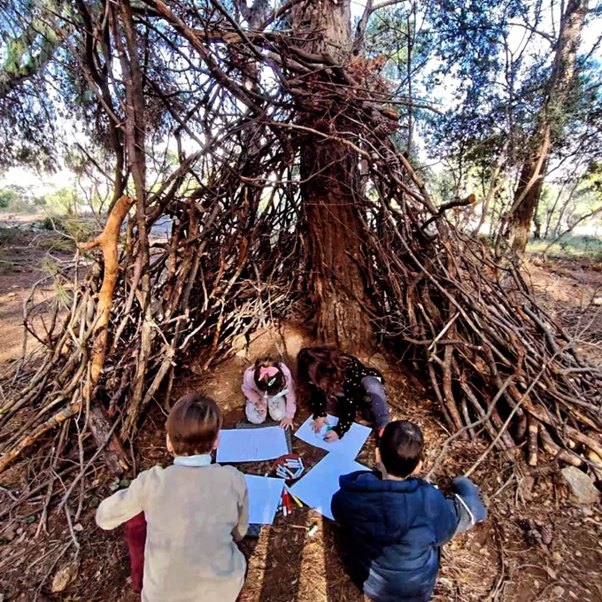 ομαδες δασους