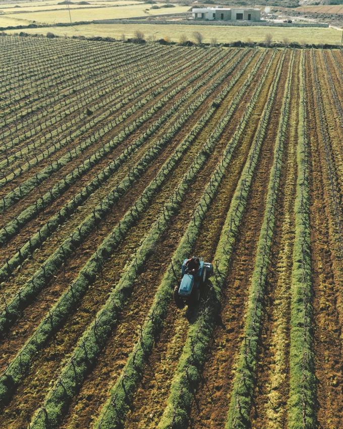 ΚΤΗΜΑ ΡΟΥΣΣΟΣ, ΠΑΡΟΣ 4