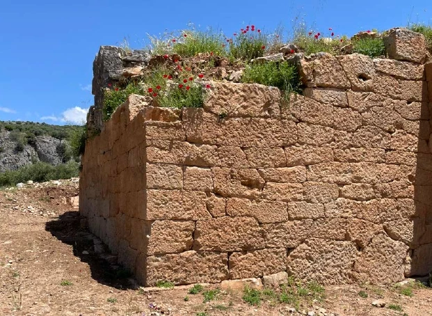 Αρχαία Πέλιννα
