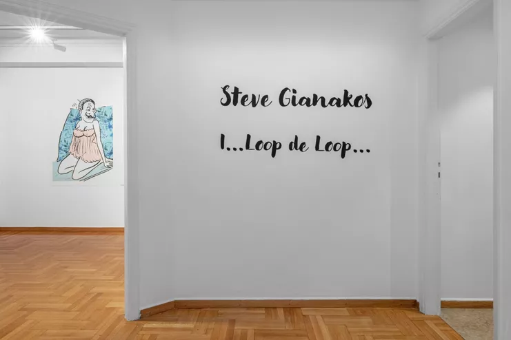 Φωτογραφία εγκατάστασης, Στηβ Γιανάκος &quot;I...Loop de Loop...&quot;