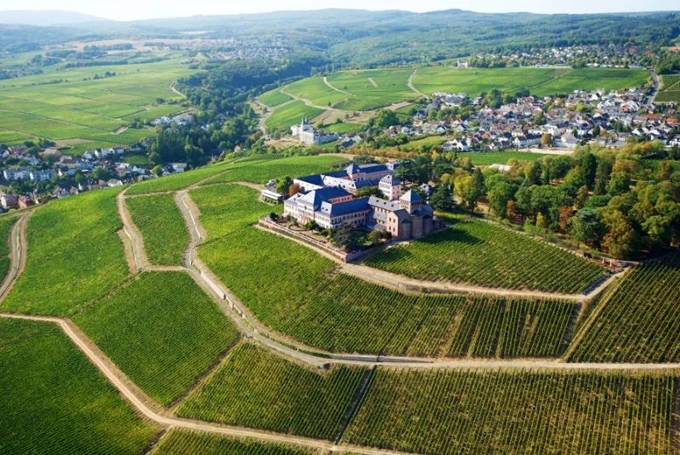 The World's 50 Best Vineyards 2025_Schloss Johannisberg
