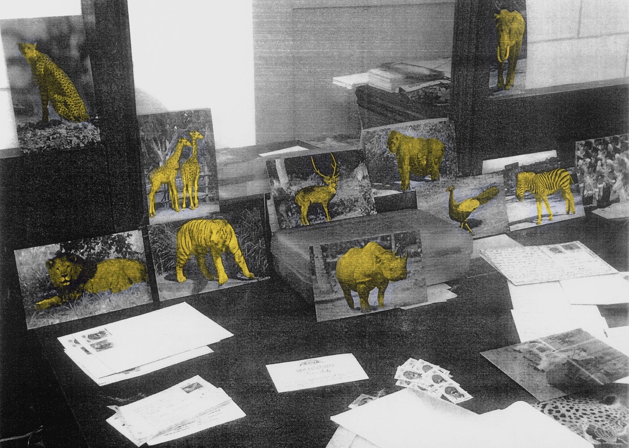 Why Look at Animals? Δικαιοσύνη για τη μη ανθρώπινη ζωή