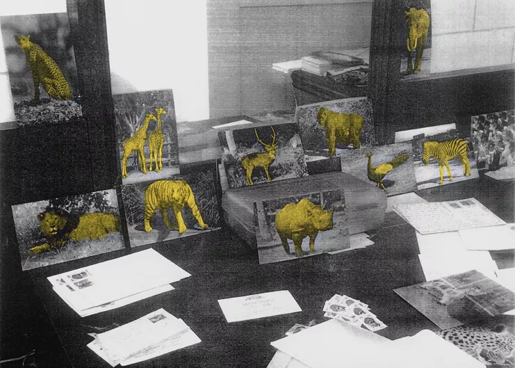 Αλέξανδρος Γεωργίου, «Jungle resort on my desk» (Ένα ξενοδοχείο ζούγκλας πάνω στο γραφείο μου), 2017 Φωτογραφίες, μικτή τεχνική 21 x 30 εκ. Ευγενική παραχώρηση του καλλιτέχνη και της Γκαλερί Ρεβέκκα Καμχή, Αθήνα