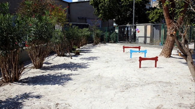 Δημοτικό Πάρκο σκύλων