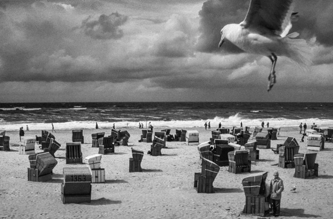 Μόνος στο δάσος