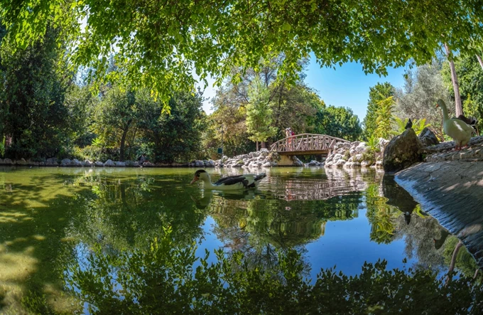 Εθνικός Κήπος