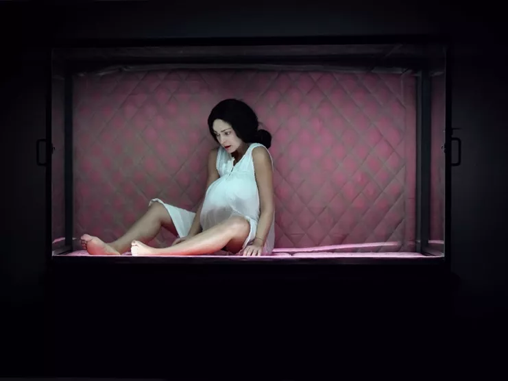 Amalia melancholia η βασίλισσα των φοινίκων