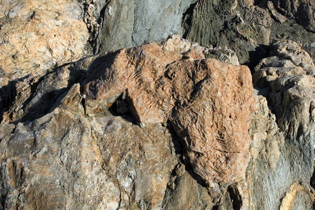 Κατερίνα Κατσιφαράκη Η φωνή των πραγμάτων