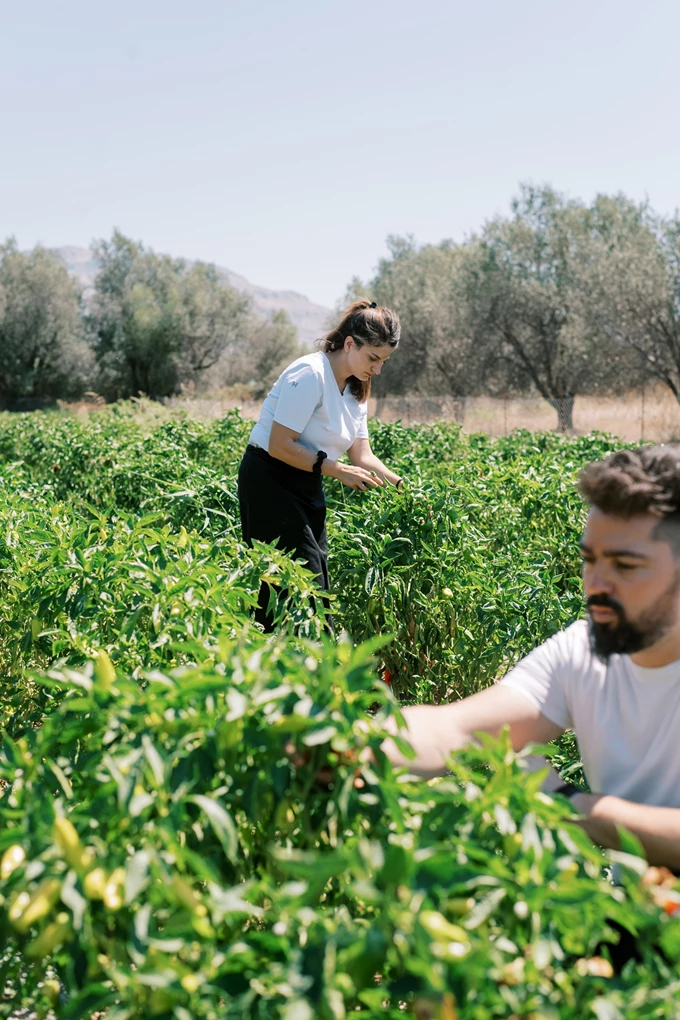 Το εστιατόριο Hellas της Ρόδου στο Symposio at Ark 1