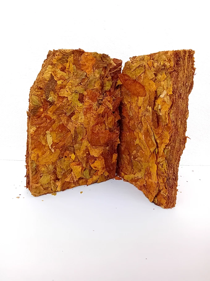 Μαρίνα Προβατίδου. Τα άνθη του καπνού