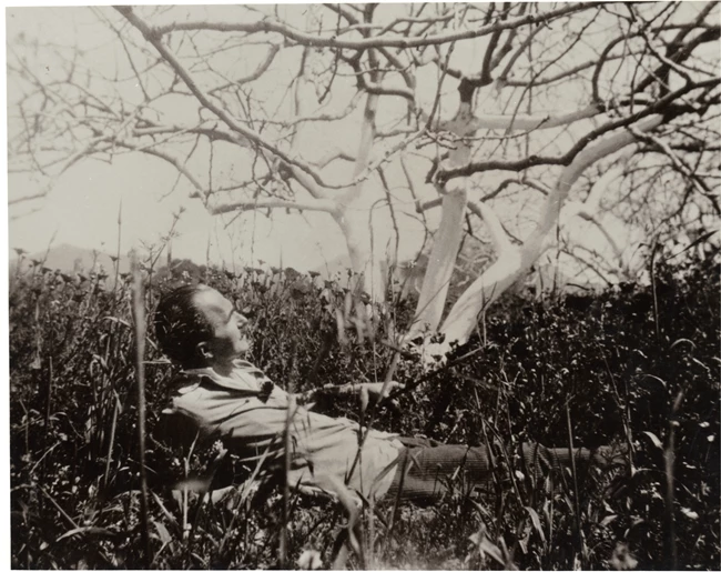 Νίκος Καζαντζάκης 140 χρόνια φως