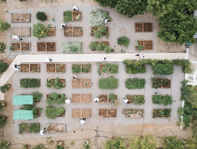Soil στο Αλεποχώρι 3