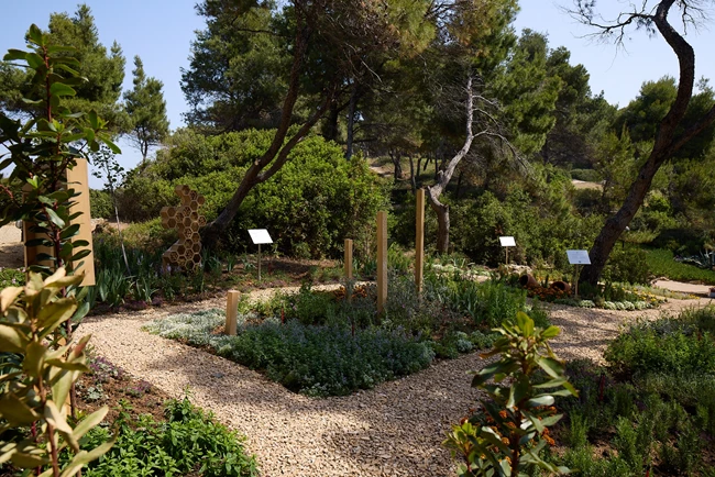 Sani Resort_Bee Spot