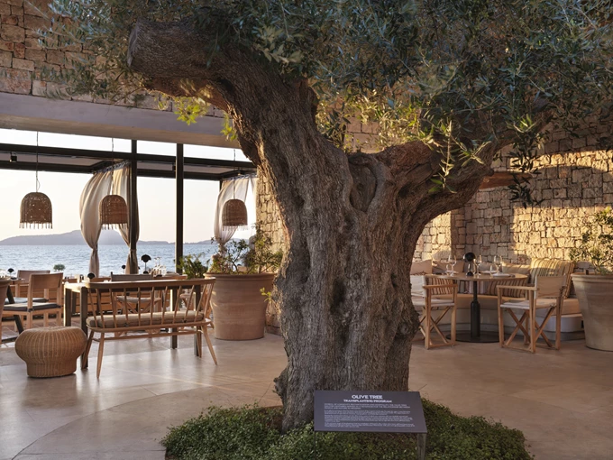 Το W Costa Navarino στη γαστρονομική εποχή του Νίκου Μπίλλη 2