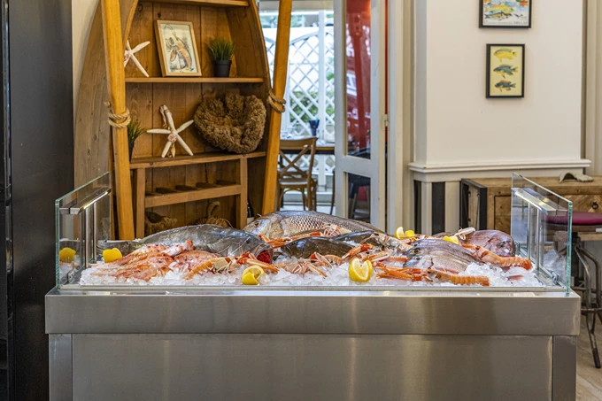 ΨΑΡΑΚΙΑ ΚΑΙ ΘΑΛΑΣΣΙΝΑ