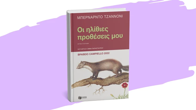 Οι ηλίθιες προθέσεις μου