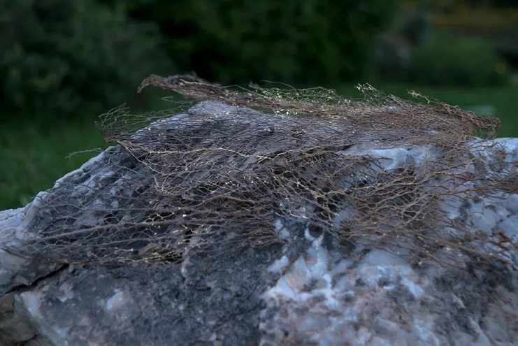 Ακούμπισμα (Πάνω στην πέτρα) 2022. Εγκατάσταση in situ: πέτρα, ιστοί φραγκοσυκιάς, φύλλα χρυσού. Μεταβλητές διαστάσεις. Ευγενική παραχώρηση της καλλιτέχνιδας