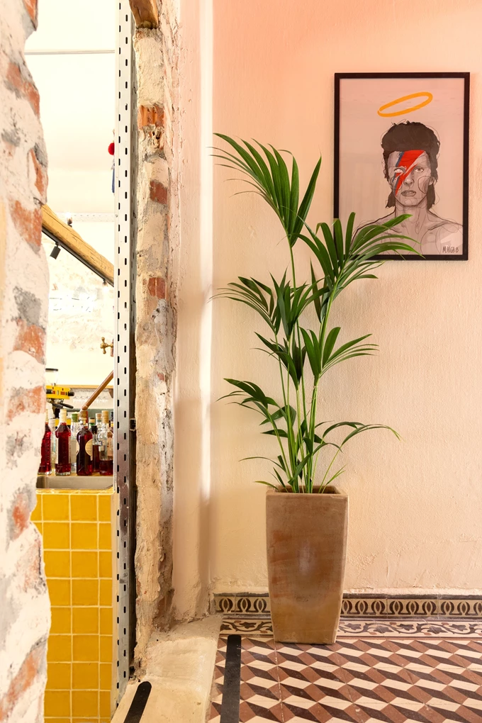 Το μπαρ El Mío Abnormal στον Βόλο 7