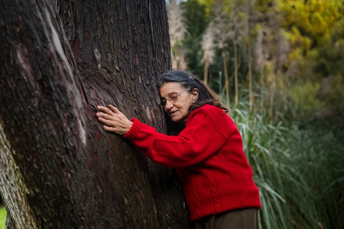 Βυσσινόκηπος Έκτορας Λυγίζος