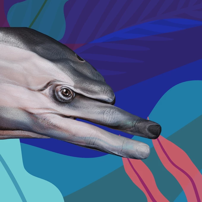 Guido Daniele Handimals