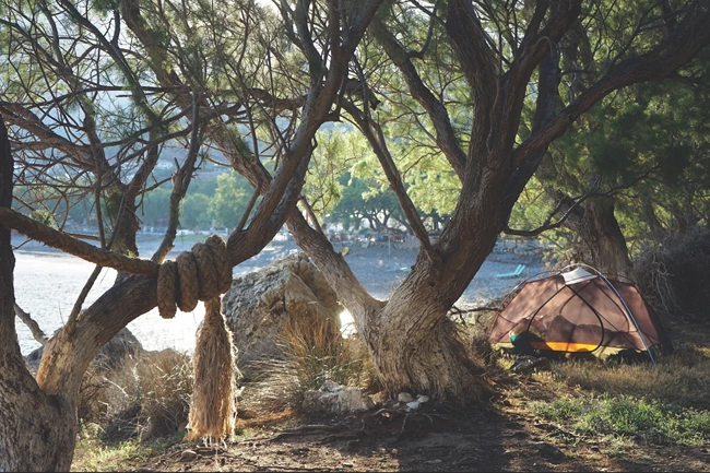 Σφηνάρι κάμπινγκ