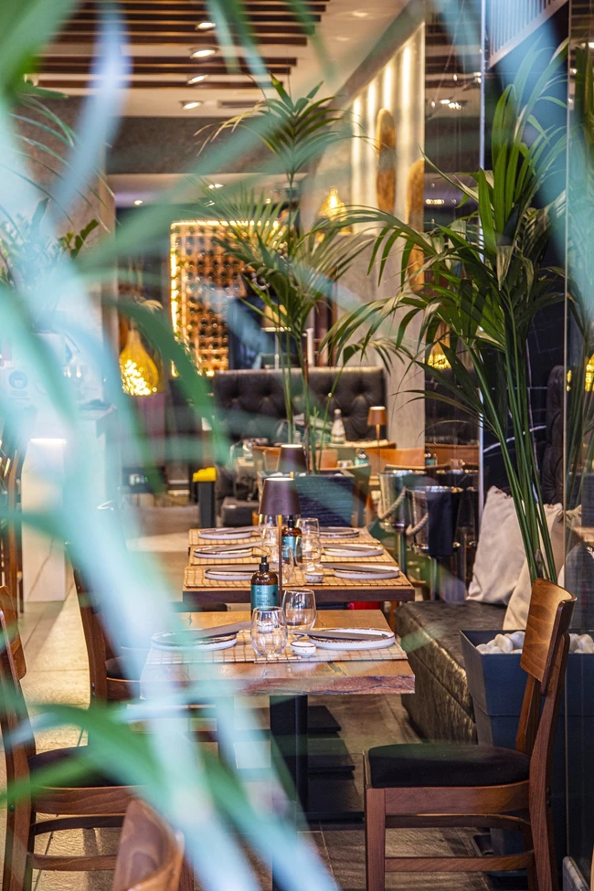 Κikko sushi & fish εστιατόριο 1