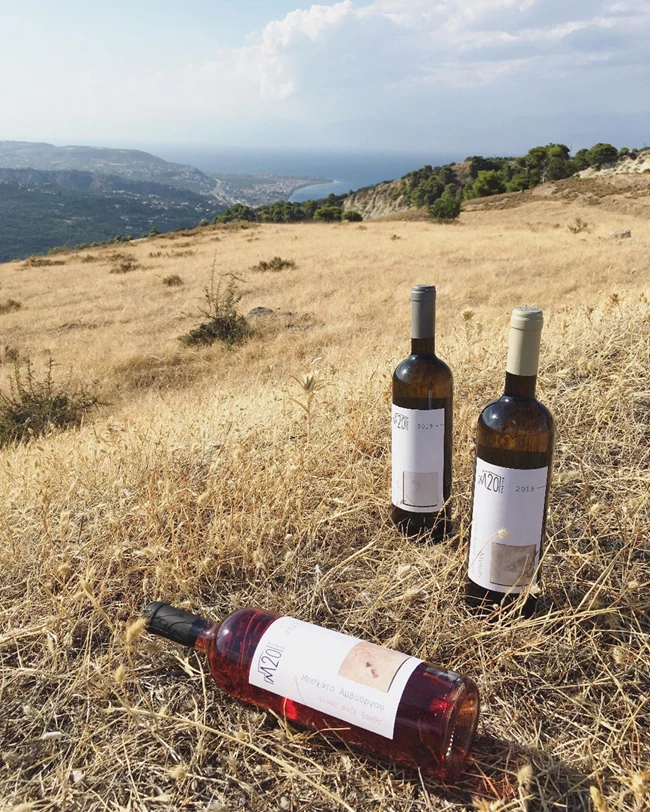 οινοξένεια