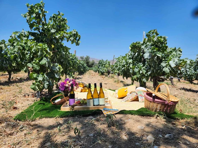 ROXANE MATSA ESTATE