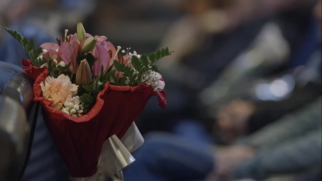 Δίκτυο αρχιπέλαγος