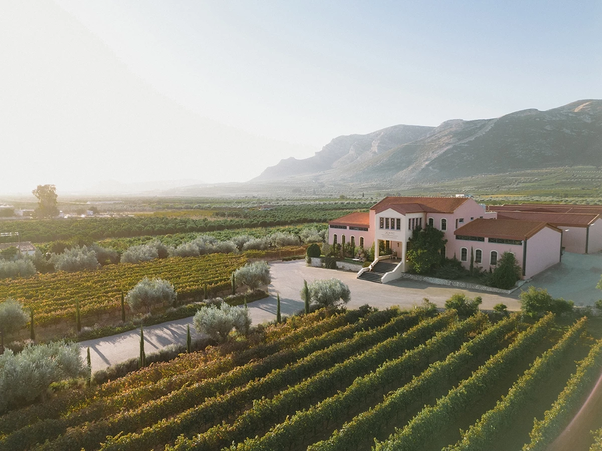 Μουσική, Τέχνη και Γαστρονομία συναντιούνται, συνδέονται και εκφράζονται στο Κτήμα Σκούρα