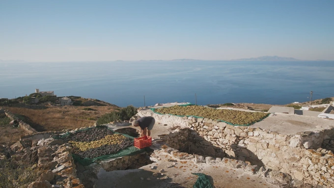 Cycladic Identity