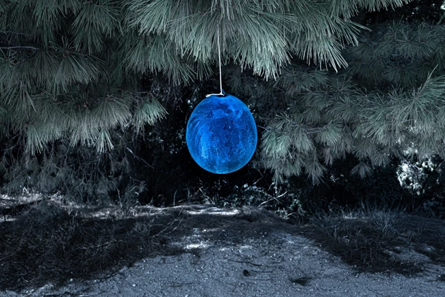 Δήμητρης Μυτάς ΜΩΒ