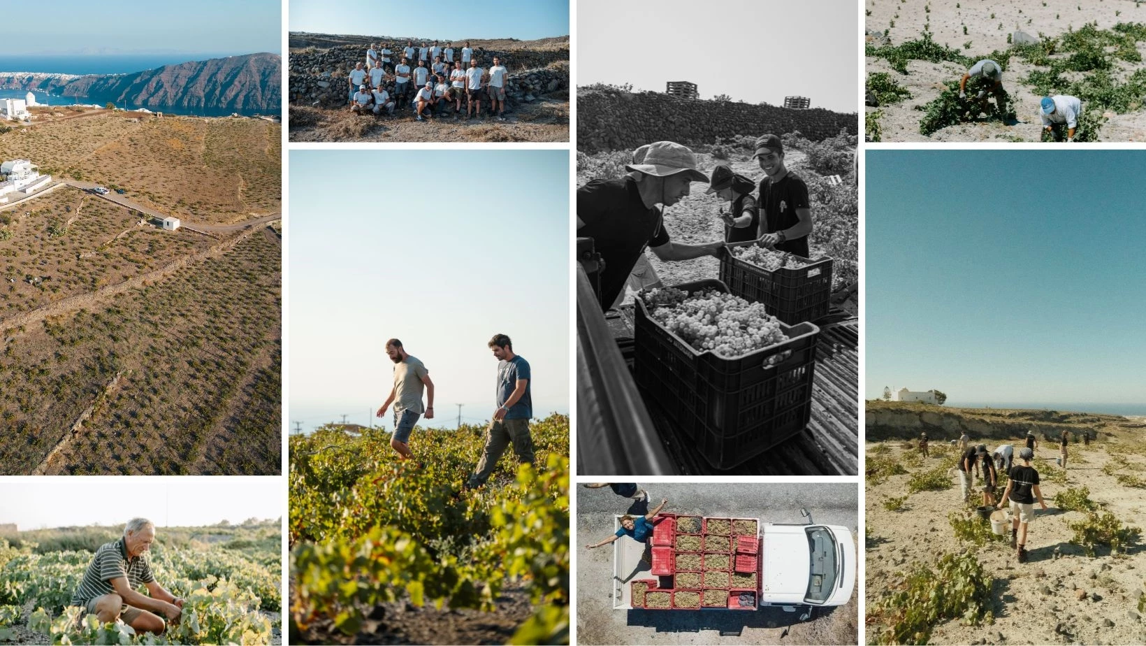 Orbis Vini: Για πρώτη φορά στην Ελλάδα μία έκθεση αφιερωμένη στα "κρασιά του κόσμου" - εικόνα 4