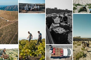 Orbis Vini: Για πρώτη φορά στην Ελλάδα μία έκθεση αφιερωμένη στα "κρασιά του κόσμου" - εικόνα 4