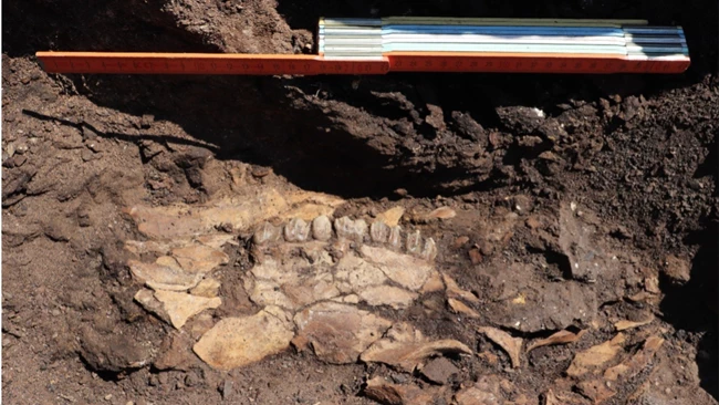 Μεγαλόπολη