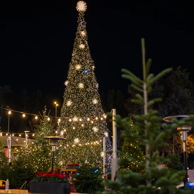 Golden Hall - Christmas Market