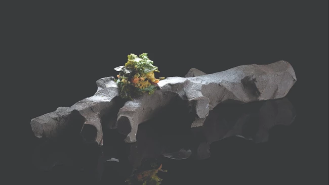 Noble Gourmet Restaurant