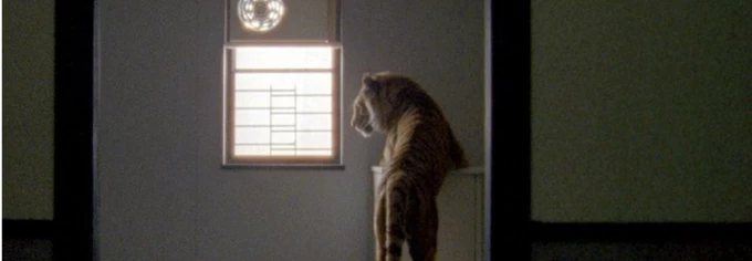Collective purr Συλλογικό Γουργουρητό εκθέσεις 2024