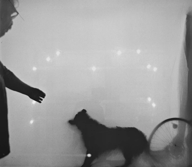 Νίκος Κεσσσανλής Σκιές