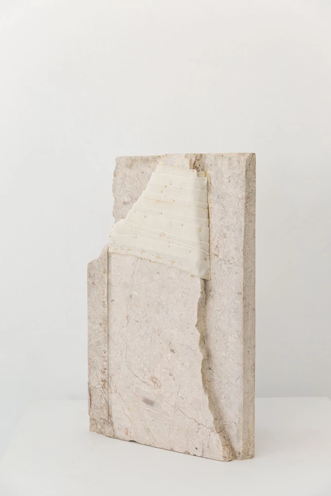 Maria Jole Serreli, Incoscienza, Senescenza Series, 2026
