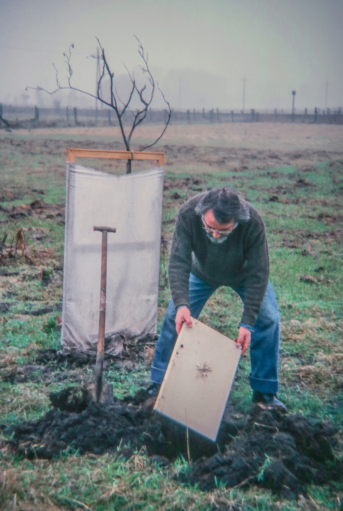 Στάθης Λογοθέτης: Στη Γη