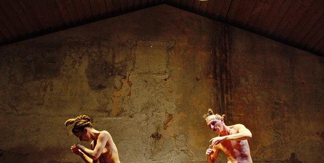NATURA MORTA (a dance less)