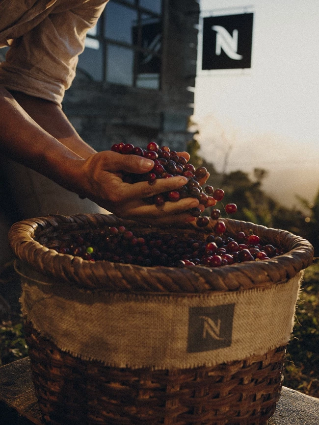 Nespresso Colombia Organic
