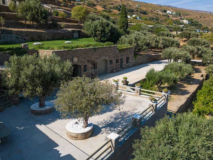 8 ελληνικά οινοποιεία που αξίζει να επισκεφθείς_Οινοποιείο Κουρτέση στην Άνδρο 4