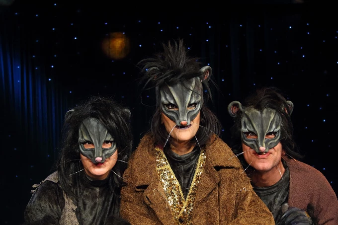 Η ιστορία του γάτου που έμαθε σ’ ένα γλάρο να πετάει