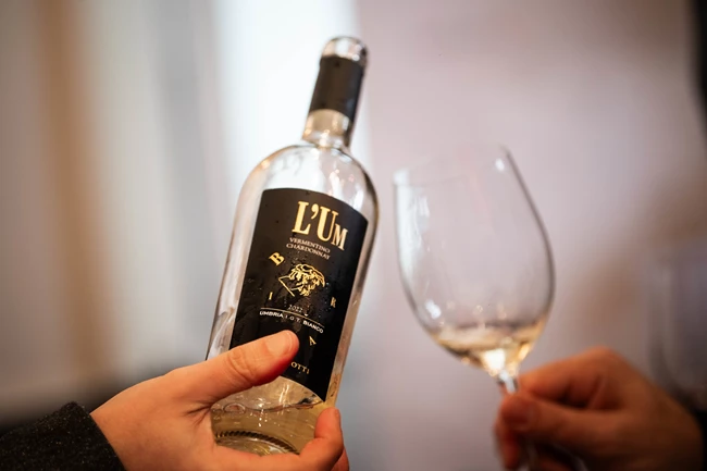 Oino Vino